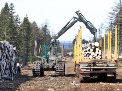 Правительство одобрило продажу крупнейшей лесной компании на Дальнем Востоке.