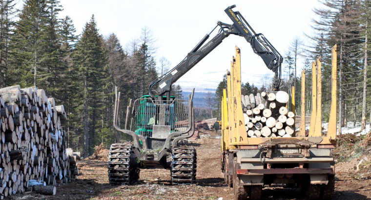 Правительство одобрило продажу крупнейшей лесной компании на Дальнем Востоке.