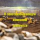 В золотодобывающую компанию на сезонную работу в Магаданскую область требуются: