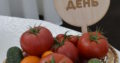 Фасовщик свежих овощей под торговой маркой «Новый день»